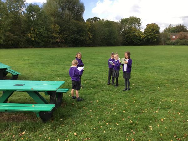 Year 3 - Loseley Fields Primary School